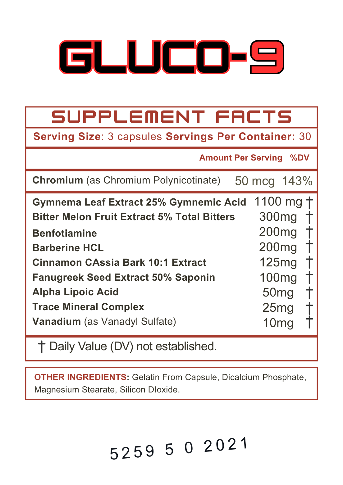 Gluco-9 – Metabolismo, Energía y Balance Diario